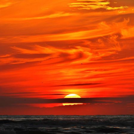 Ferienhaus Geniessen Am Meer Mit Wellnesszugang Egmond aan Zee Esterno foto